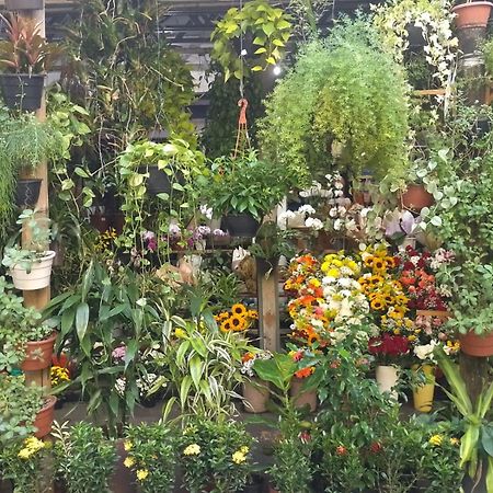 Apartamento Parque Jardim Europa Rio de Janeiro Eksteriør bilde