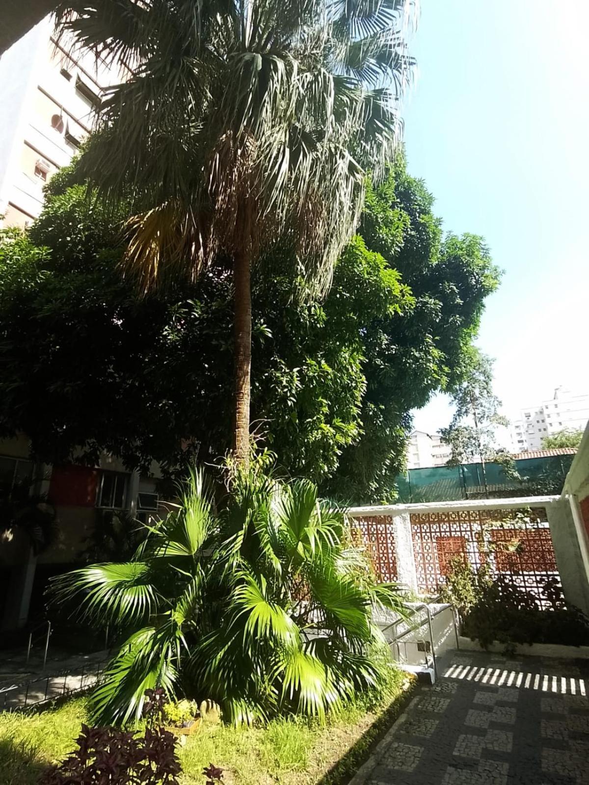 Apartamento Parque Jardim Europa Rio de Janeiro Eksteriør bilde