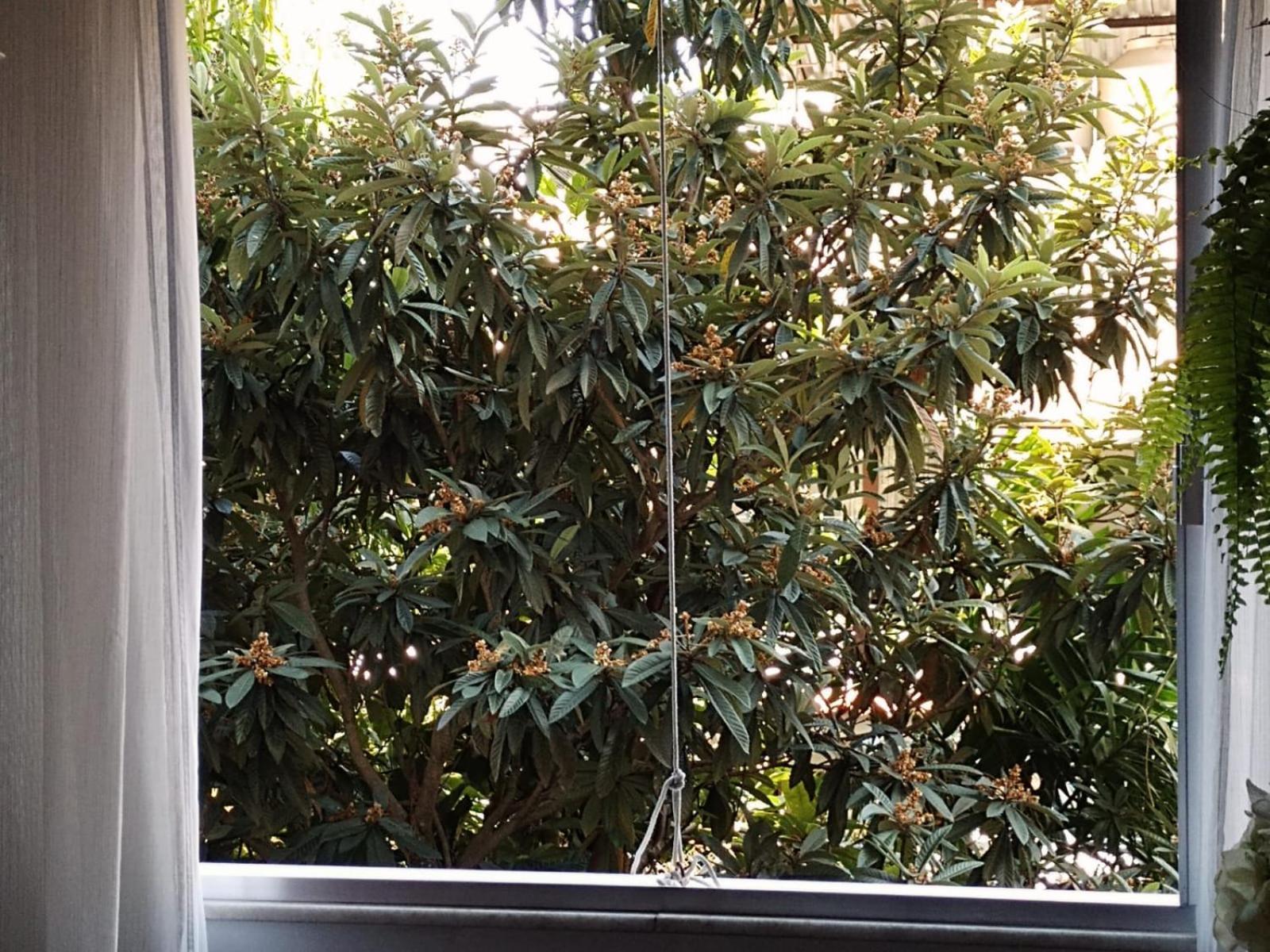 Apartamento Parque Jardim Europa Rio de Janeiro Eksteriør bilde